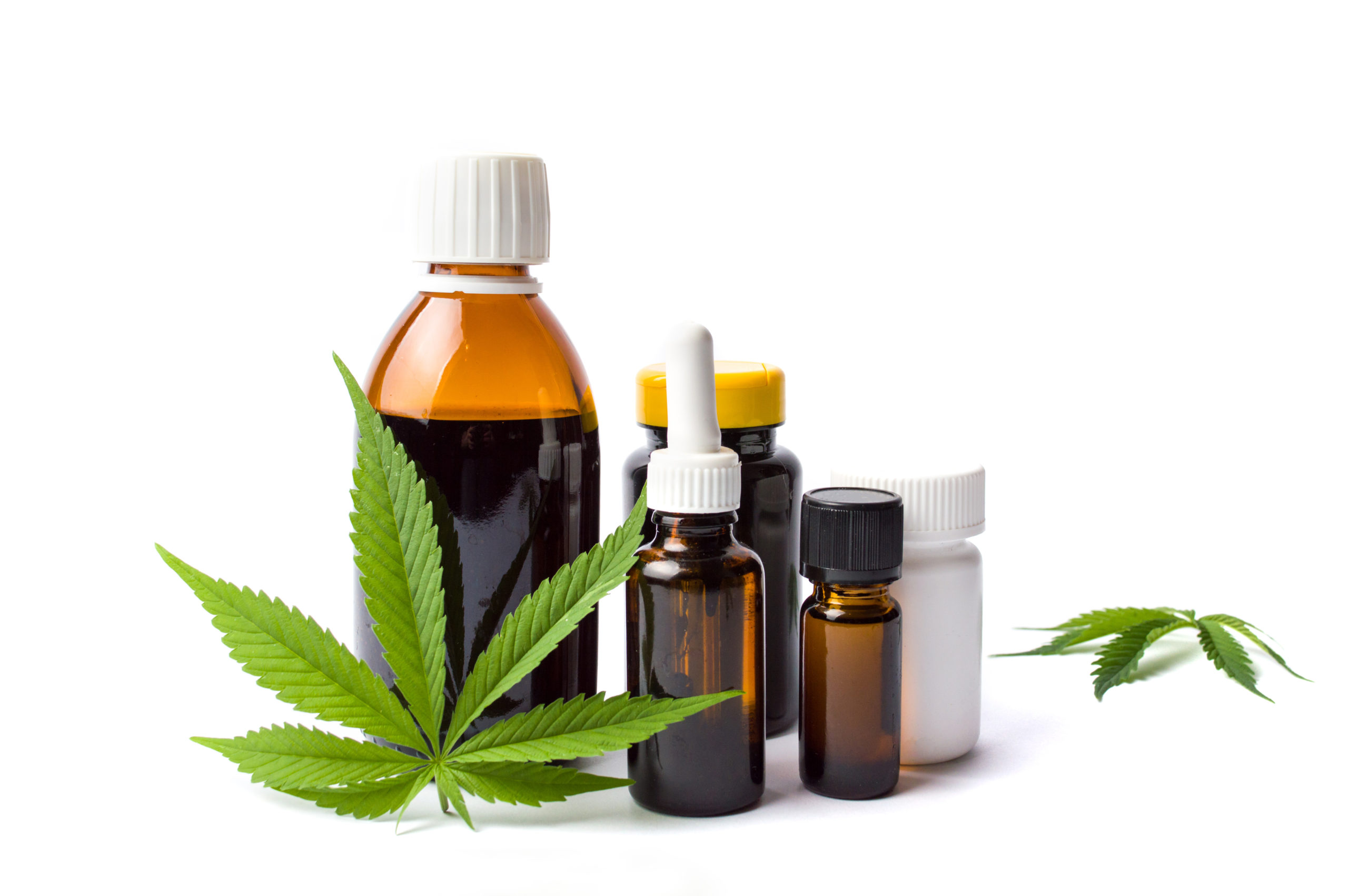 des techniques de cannabiculture thérapeutique
